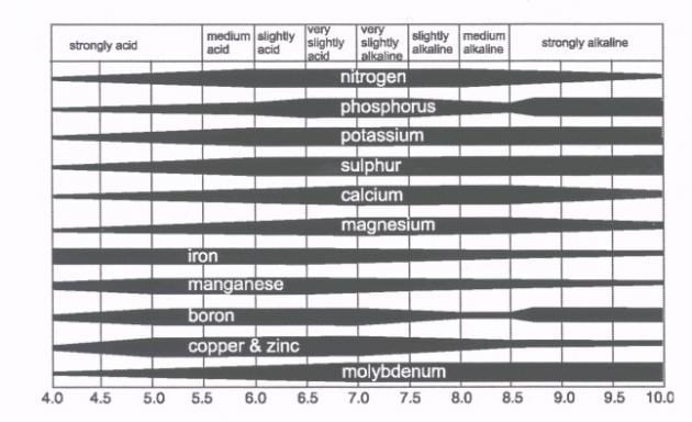 Nutrient Ph Uptake Chart