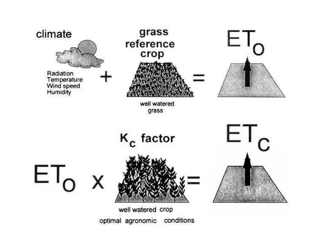 Reference (ETo), crop evapotranspiration under standard (ETc) 