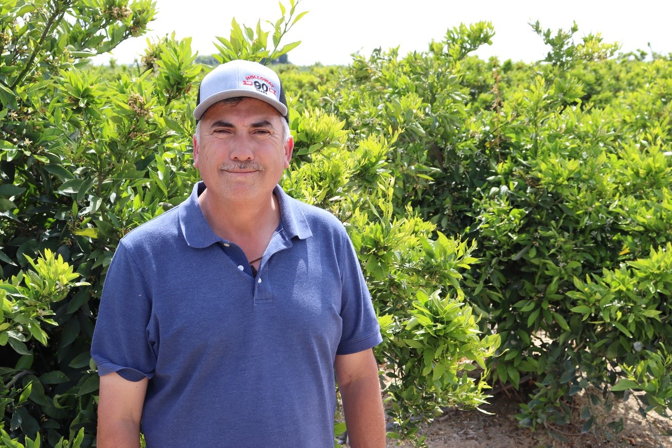 Rudy Flores, Sanger citrus grower