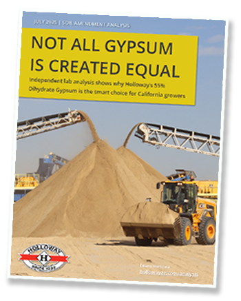 Gypsum differences