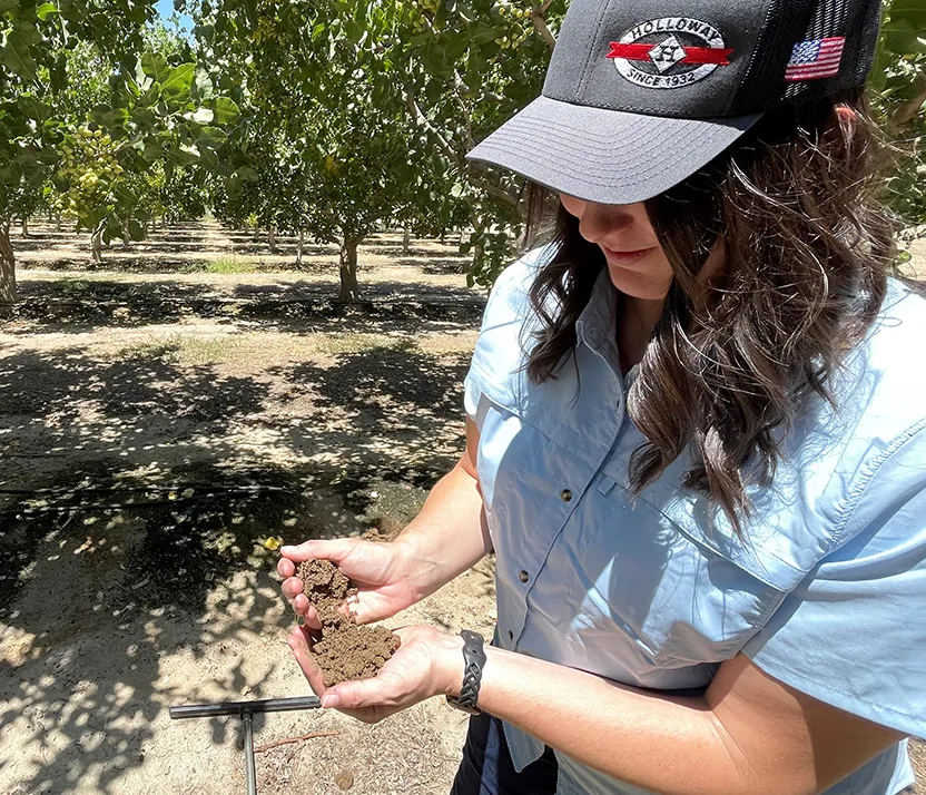 allie soil sample featured