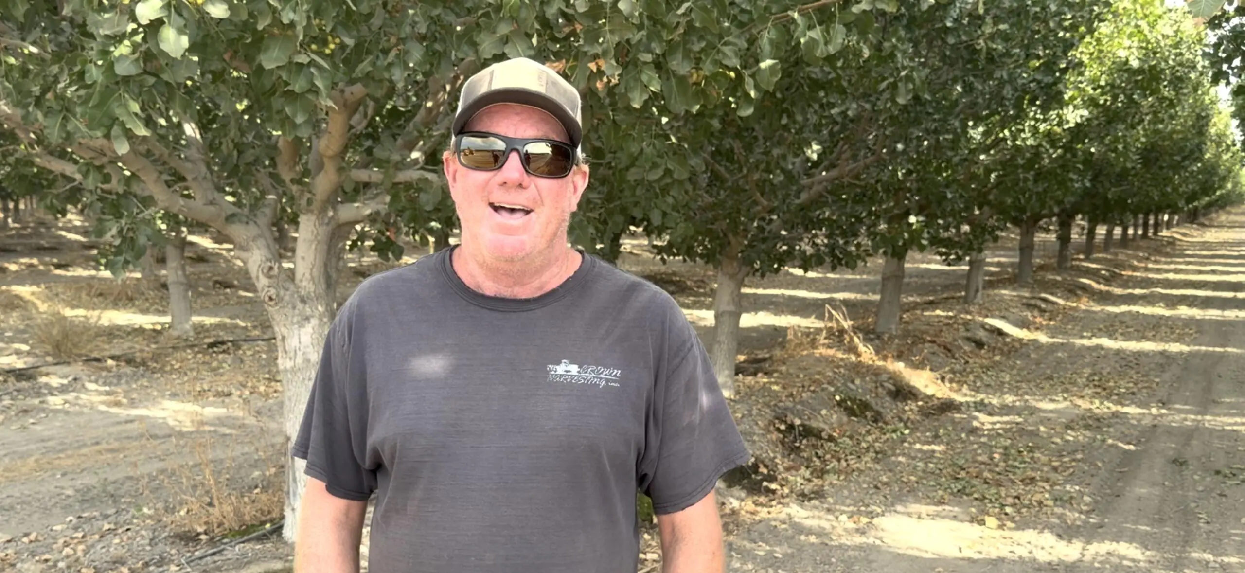 Soil health gypsum for pistachios